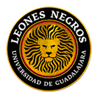 Leones Negros de la U. de G. football team flag Leones Negros de la U. de G.