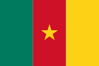 Cameroon national flag Cameroon