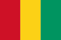 Guinea national flag Guinea