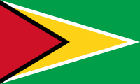 Guyana national flag Guyana