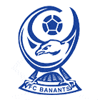 Banants football team flag Banants