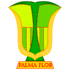 Atletico Palmaflor