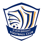 Shijiazhuang Ever Bright football team flag Shijiazhuang Ever Bright