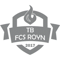 TB/FCS/Royn football team flag TB/FCS/Royn