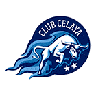 Celaya football team flag Celaya