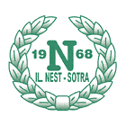 Nest-Sotra football team flag Nest-Sotra