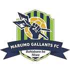 Marumo Gallants