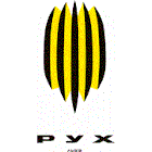Rukh Lviv football team flag Rukh Lviv